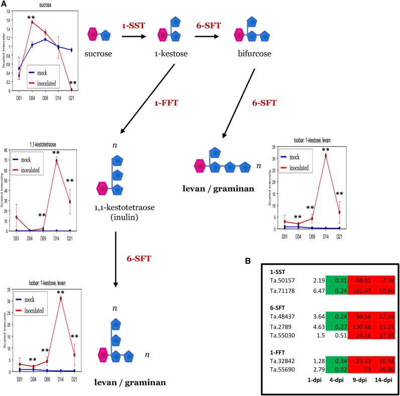 Figure 11.