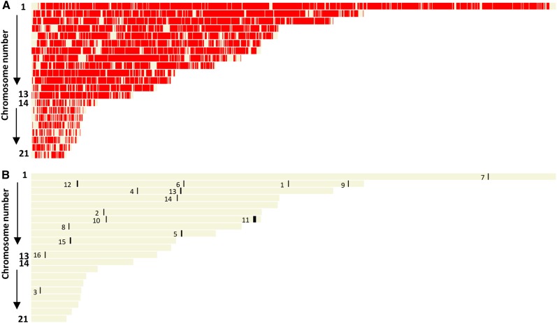 Figure 10.