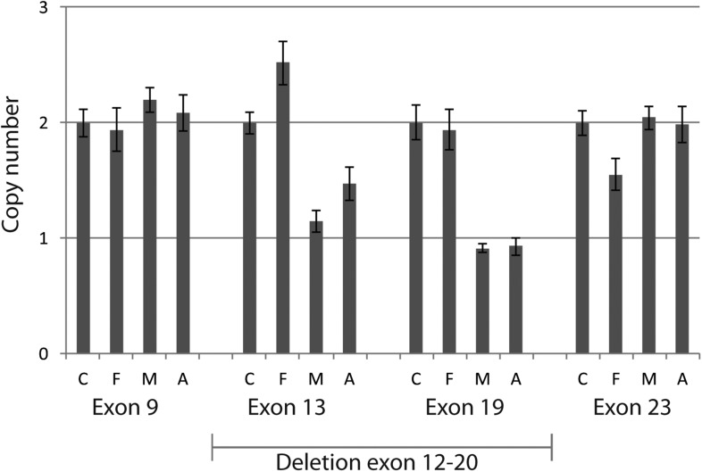 Figure 2—figure supplement 2.