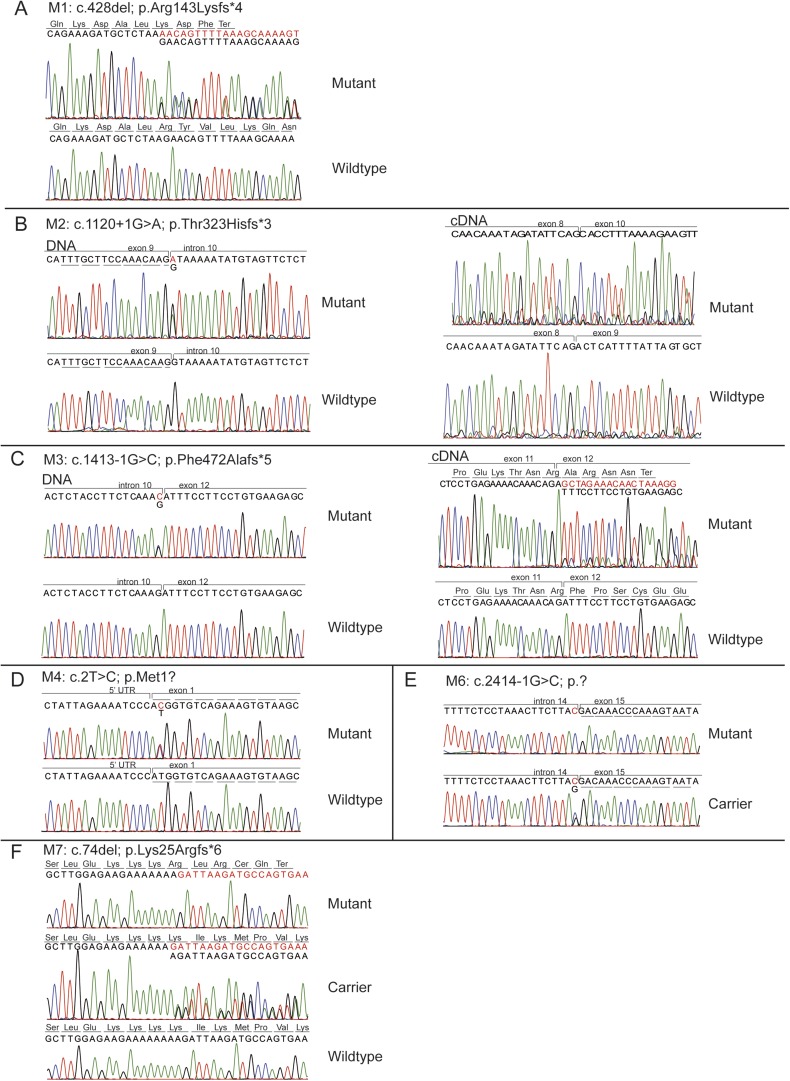 Figure 2—figure supplement 1.