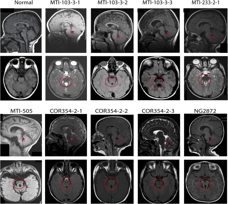 Figure 3.