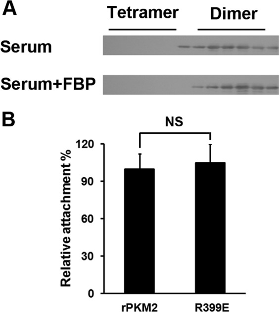 FIGURE 10.