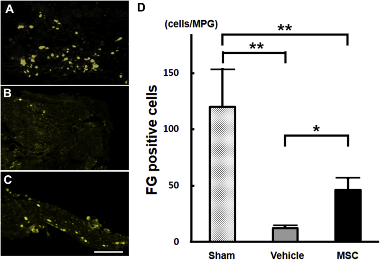 Figure 3