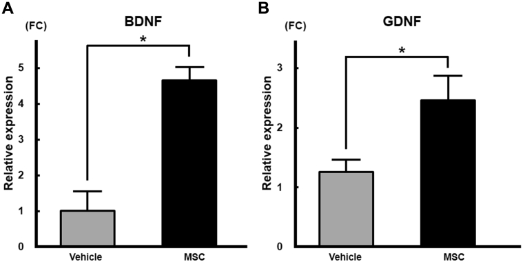 Figure 6