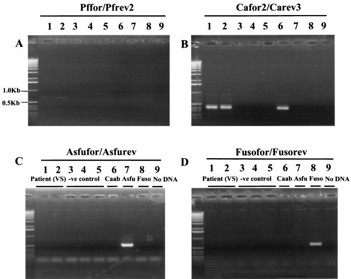 FIG. 6