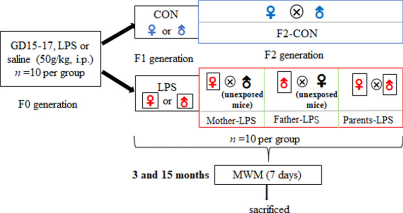 Fig. 12