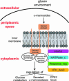 Fig. 4.