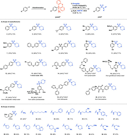 Scheme 3