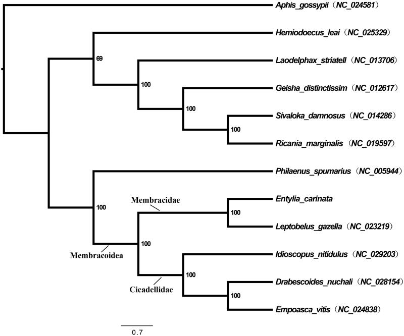 Figure 1.