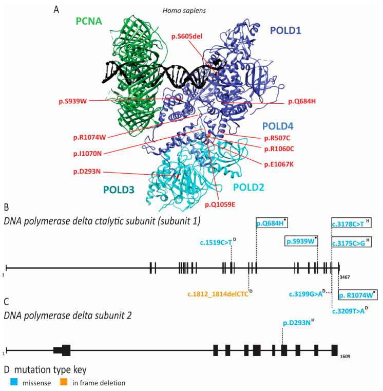 Figure 10