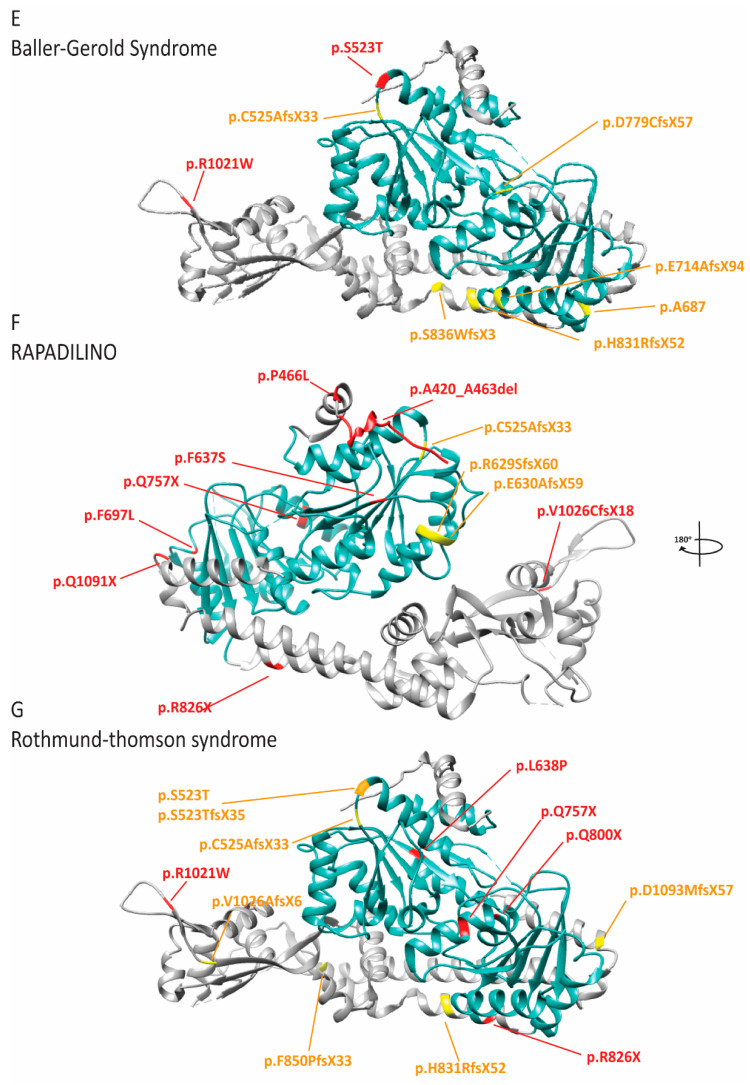 Figure 12