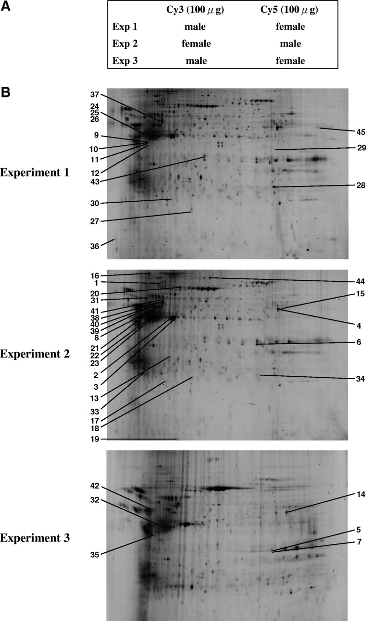 FIG. 1.