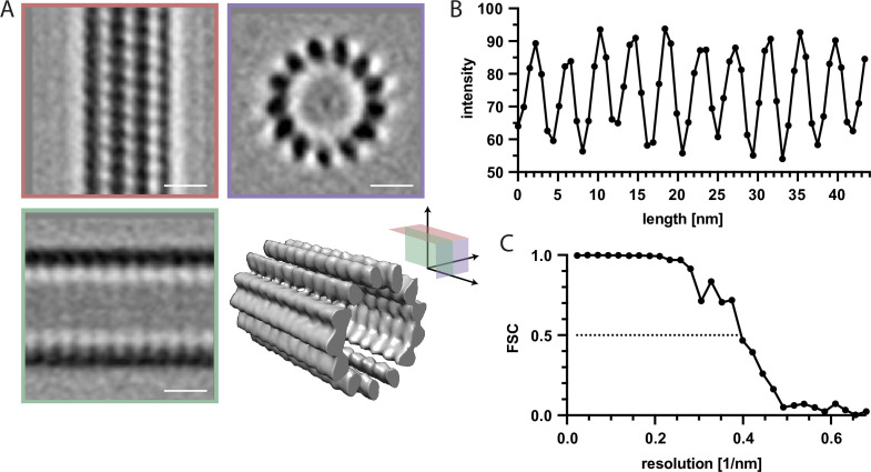 Figure 3—figure supplement 1.