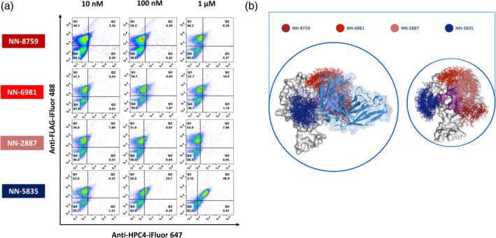 FIGURE 4