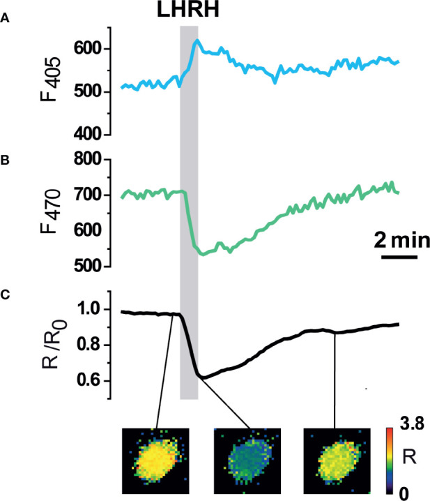 Figure 3