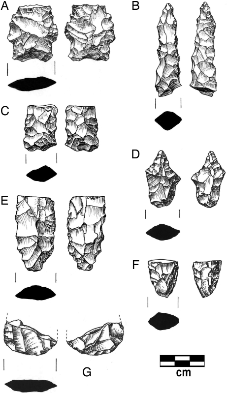 Fig. 5.