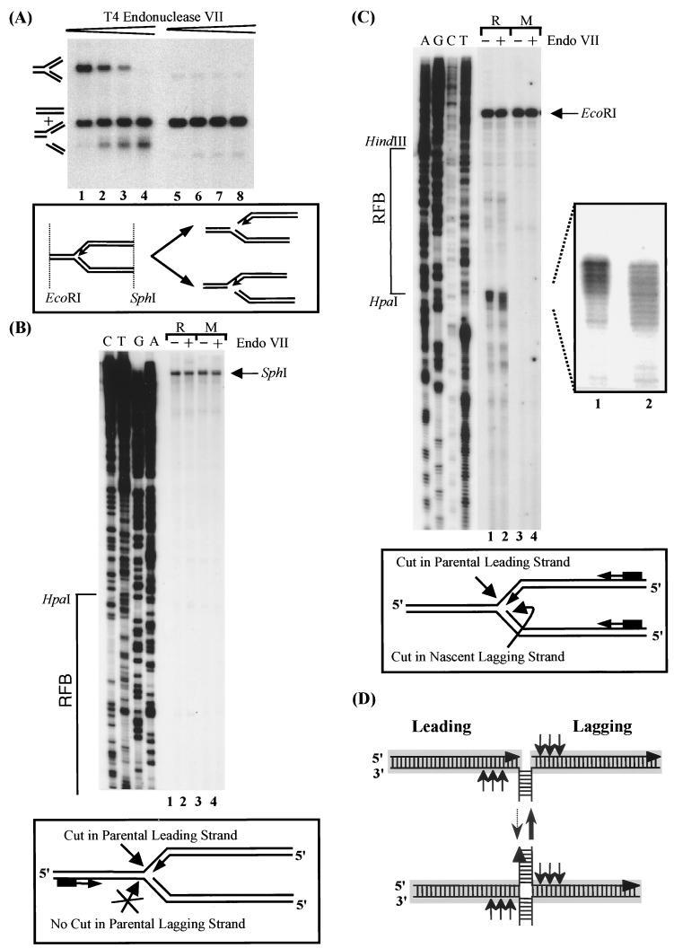 FIG. 6