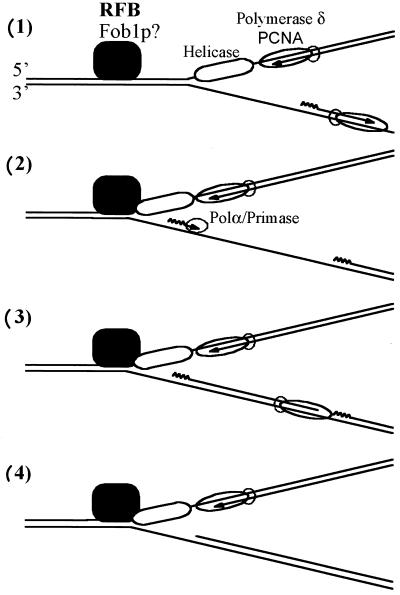 FIG. 7