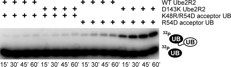 FIG 3