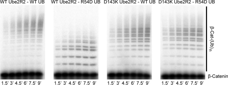 FIG 6