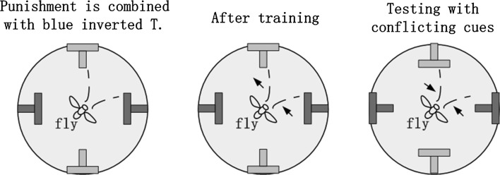 Fig. 16