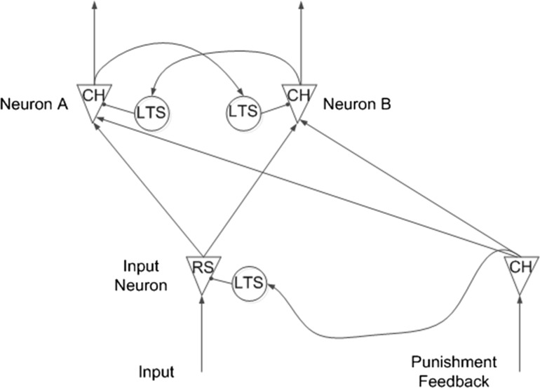 Fig. 8