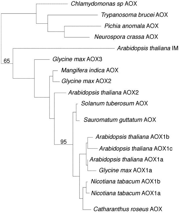 Figure 6.