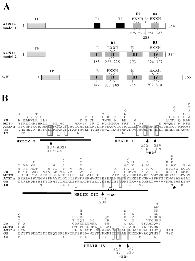 Figure 7.