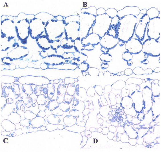 Figure 10.