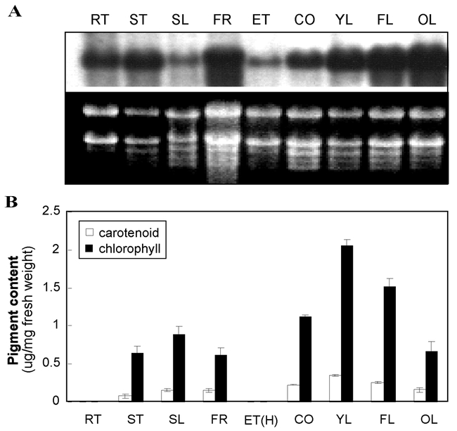 Figure 9.