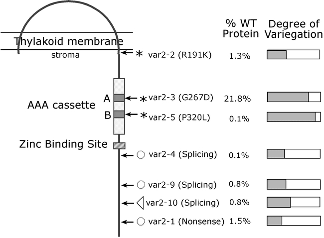 Figure 14.