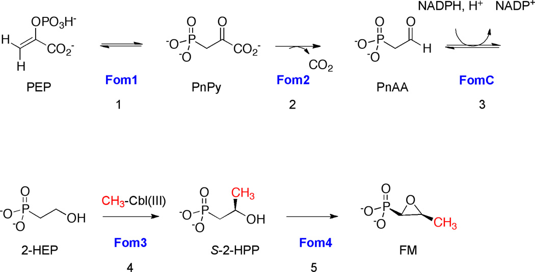 Scheme 1