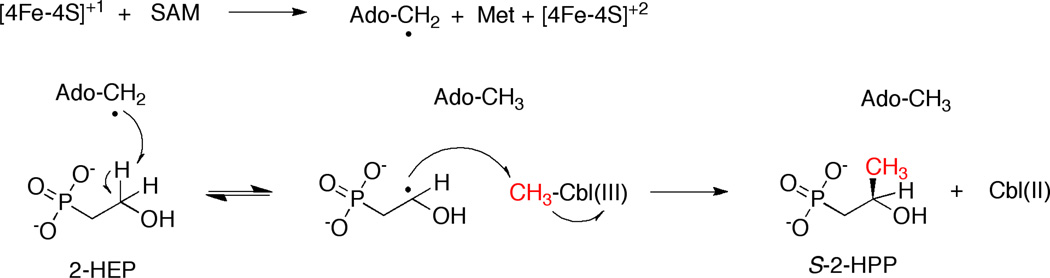 Scheme 3