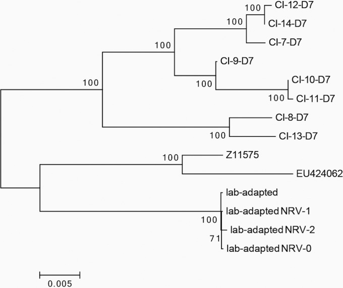 FIG 2 