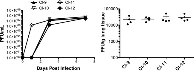 FIG 6 