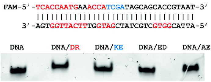 Figure 10.