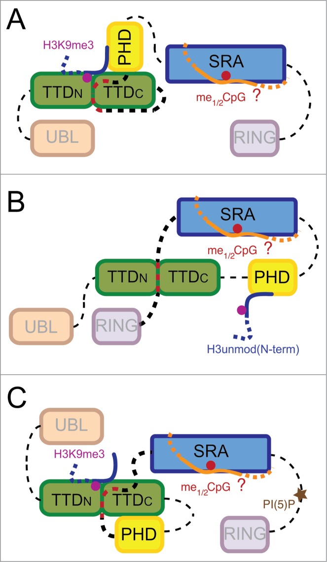 Figure 2.