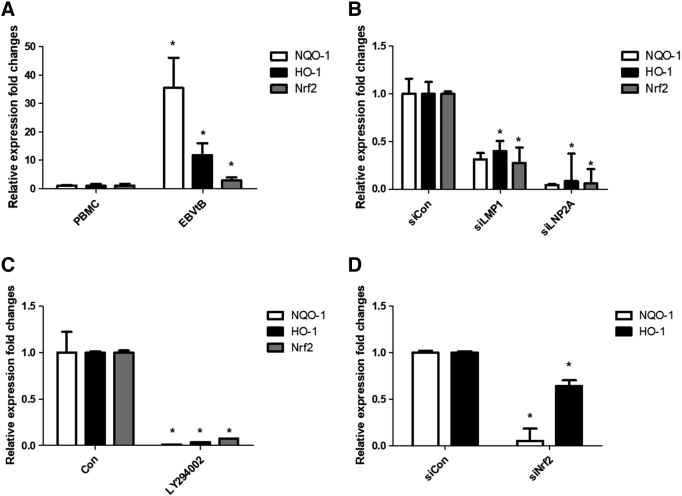 Supplementary Figure 5