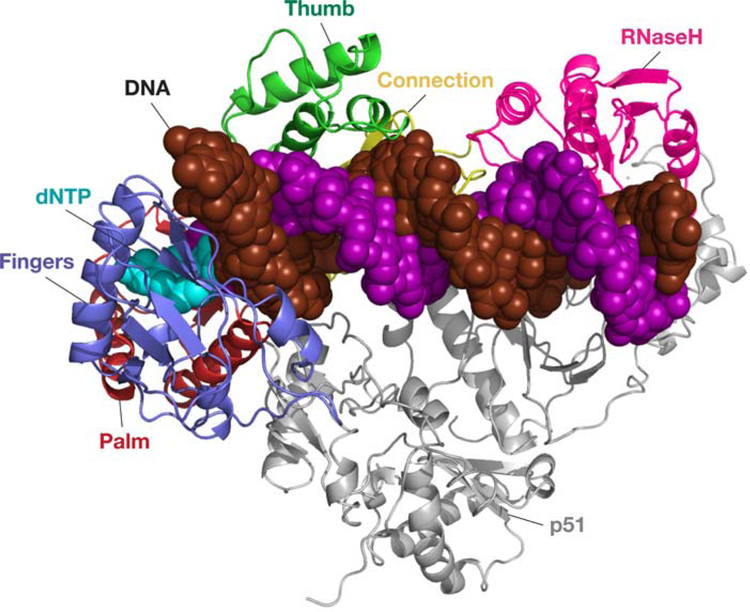 FIGURE 2