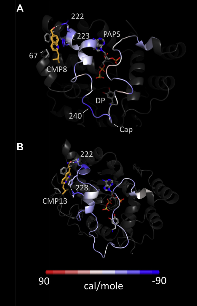 Figure 2