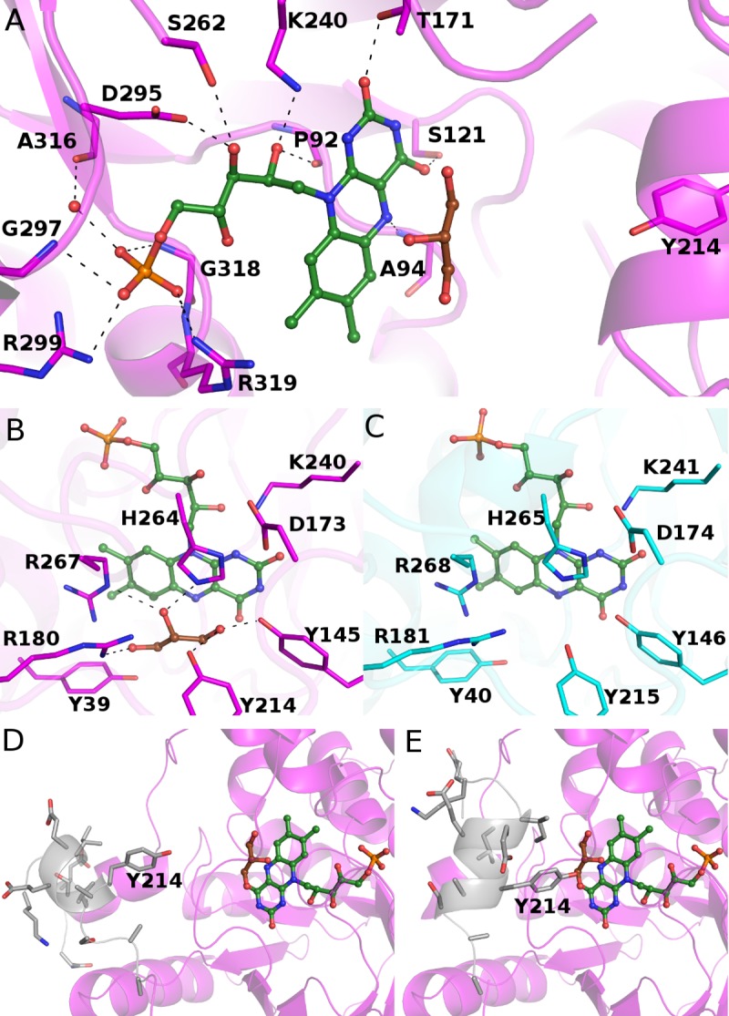 Fig 6