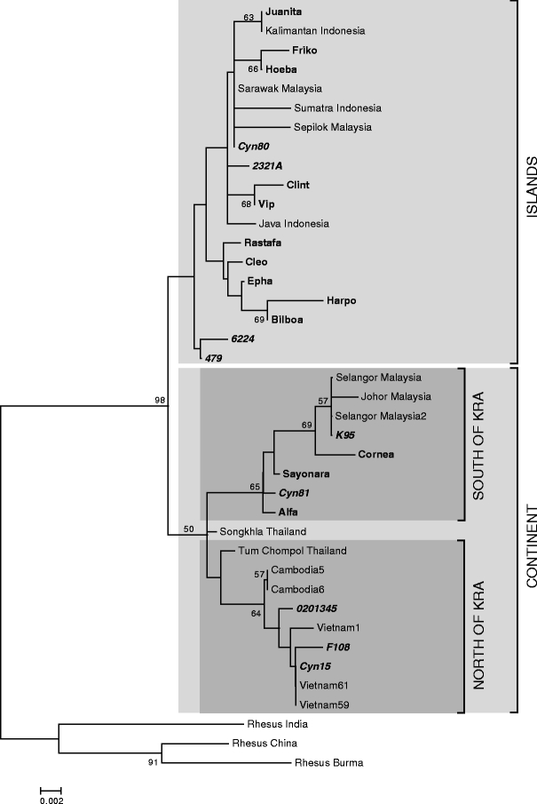 Fig. 1