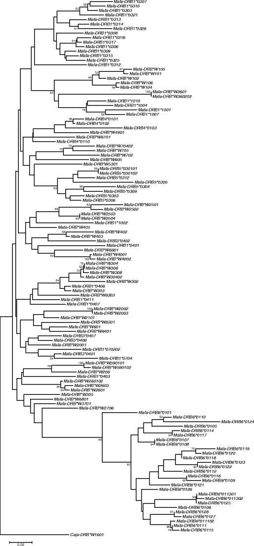 Fig. 2