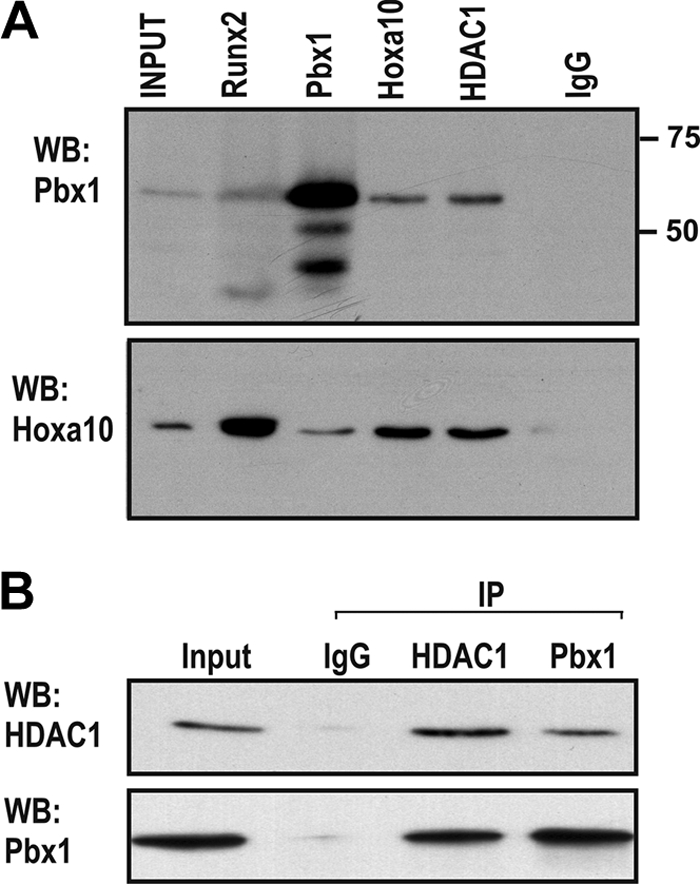 FIG. 8.