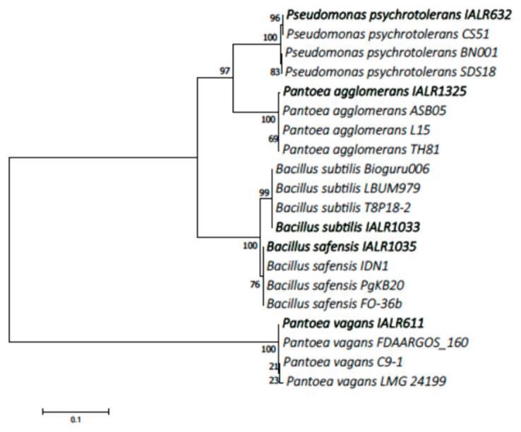 Figure 1