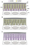 Fig 8