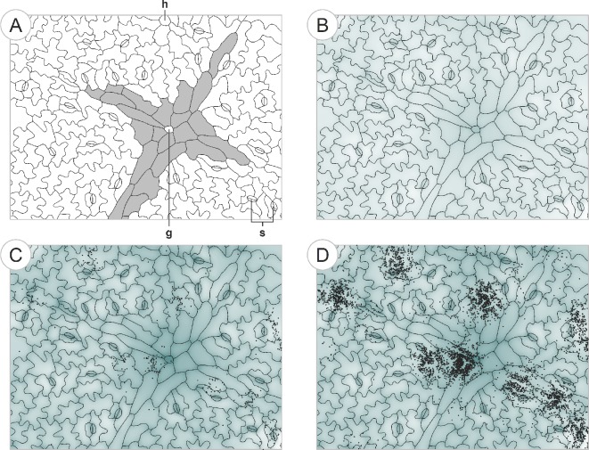 Figure 7.