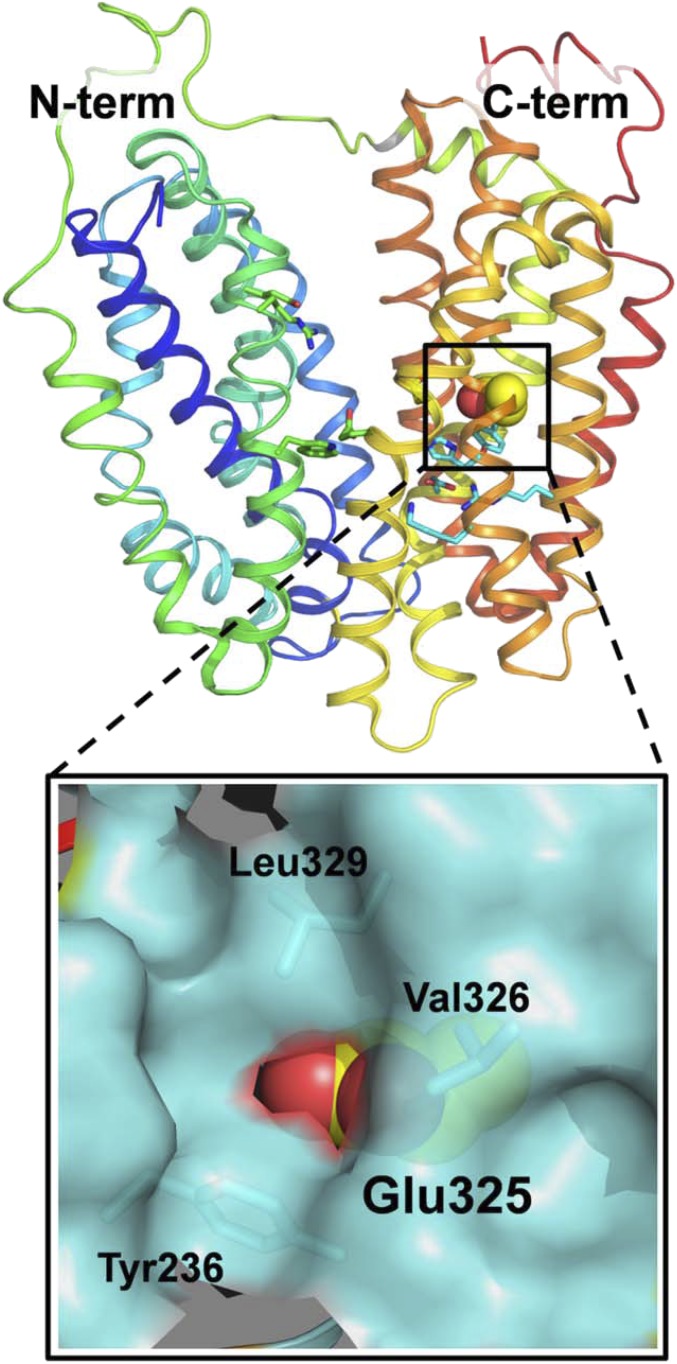 Fig. 5.