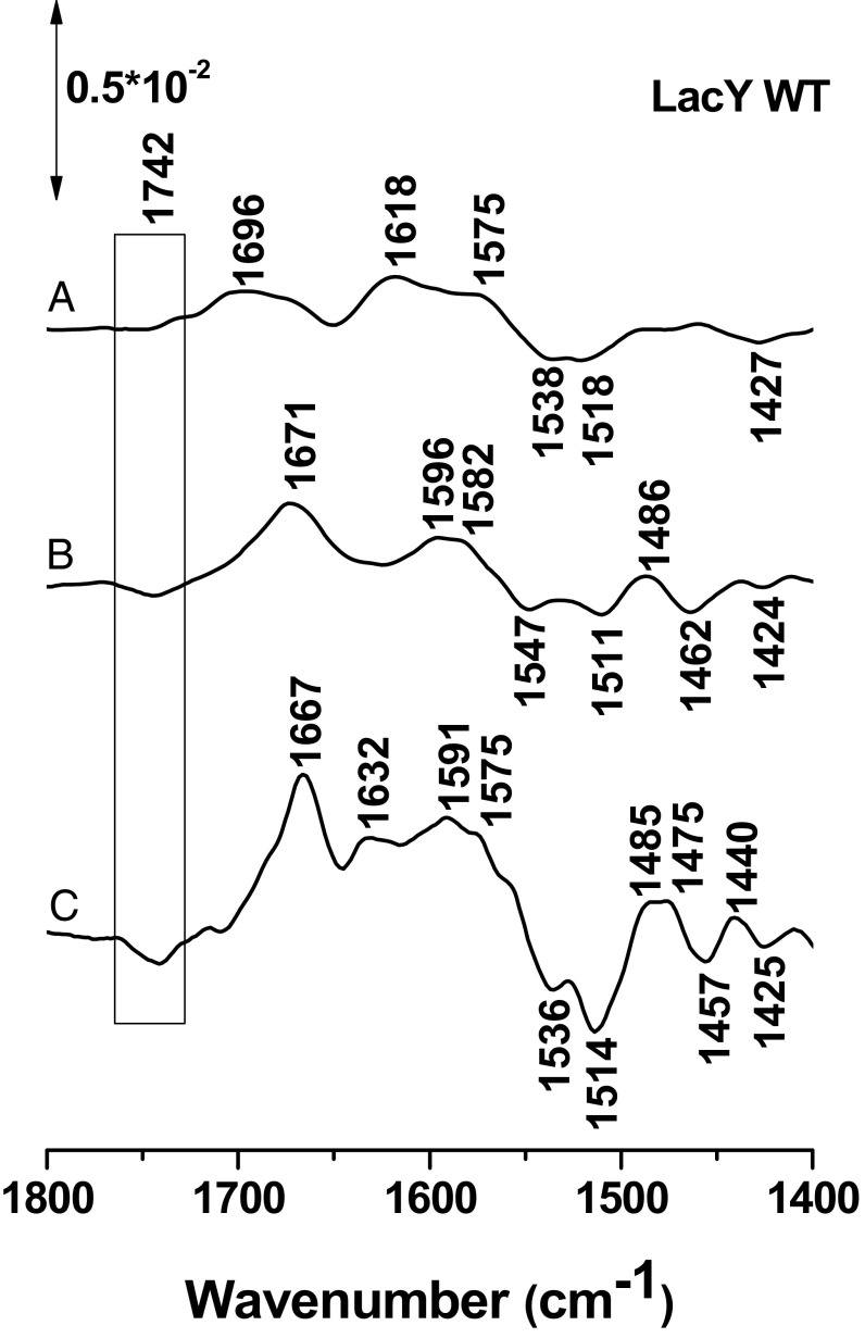 Fig. 2.