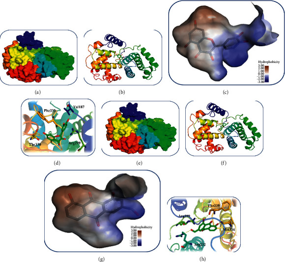 Figure 7